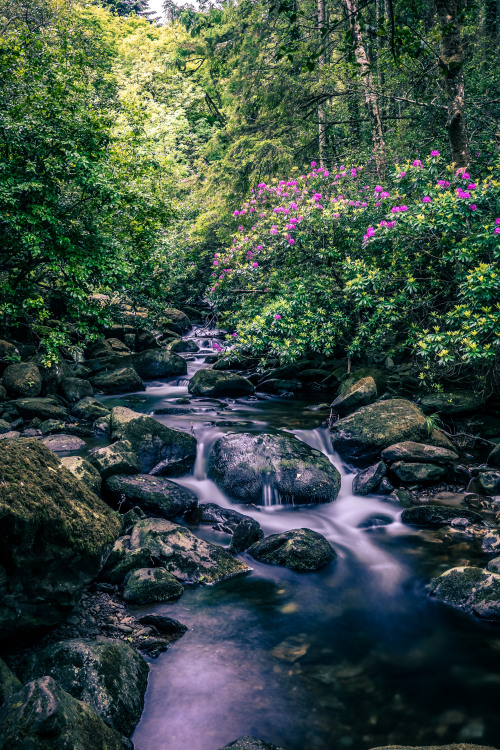 mbphotograph:  Waterfalls of Ireland (by mbphotograph)Follow me on Instagram