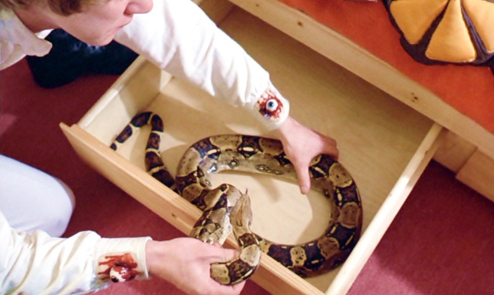 Stanley Kubrick only decided to include a snake in the bedroom scene in A Clockwork
