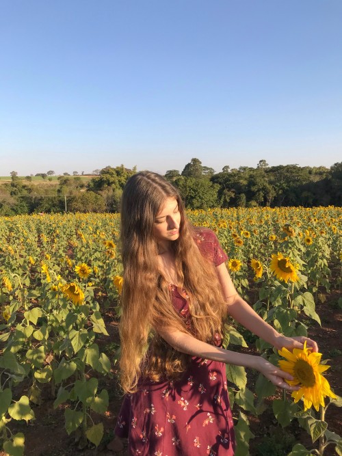 Sunflower lover follow me on instagram: @iveep_https://www.instagram.com/iveep_/?hl=pt-br