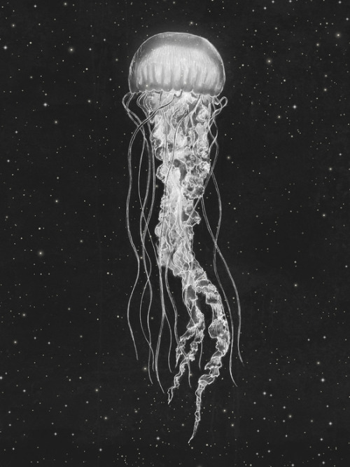 Porn photo 1000drawings:  Space Jelly by Terry Fan