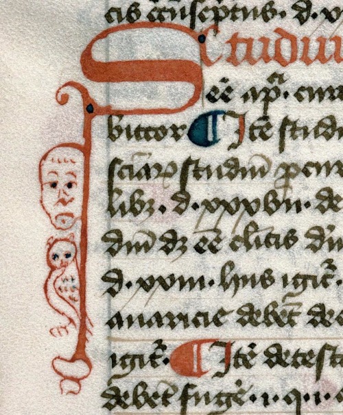 Grumpy faces In medieval times it was common to add decoration to the first letter of the text and t