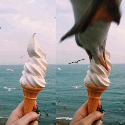 A seagull is trying to steal Hirugami&rsquo;s icecream