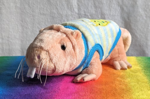 Naked Mole Rat By Animigos, Bought Online In June 2024. The Perfect Fit For This Little Snaily Jumper