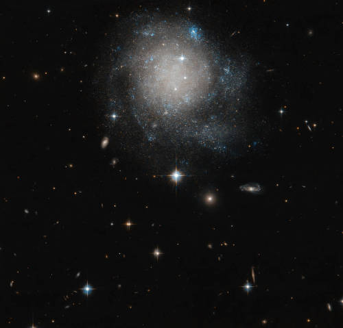 cosmosastronaut