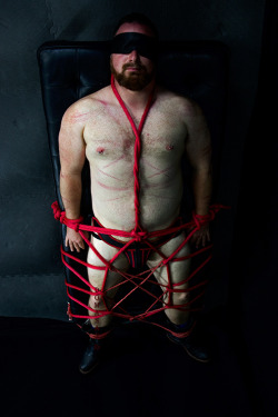 thee-domasan:   Red Bear with Red Ropes  