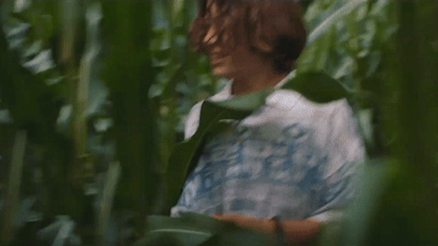 338d25f04f52901c50a887deb782d616ac1fa305.gifv