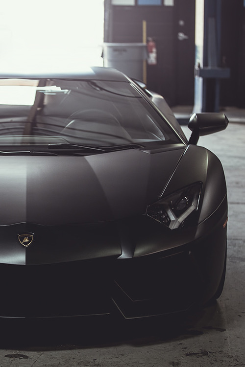 teamfytbl:   Bruce | Source | More                