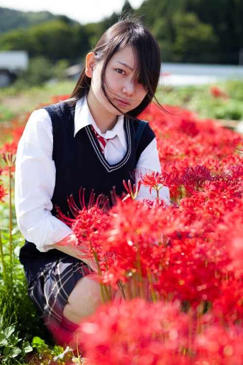 PORTRAIT PHOTO SENDAI / 2015model 凩さん 9月。仕事帰りに見つけた彼岸花のある場所に制服姿の凩さんに立って頂きました。超ロングの黒髪が少しミステリアス。