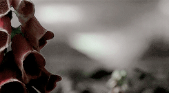nxpotter: get to know me meme: [1/10] movies  “I solemnly swear that I am up to
