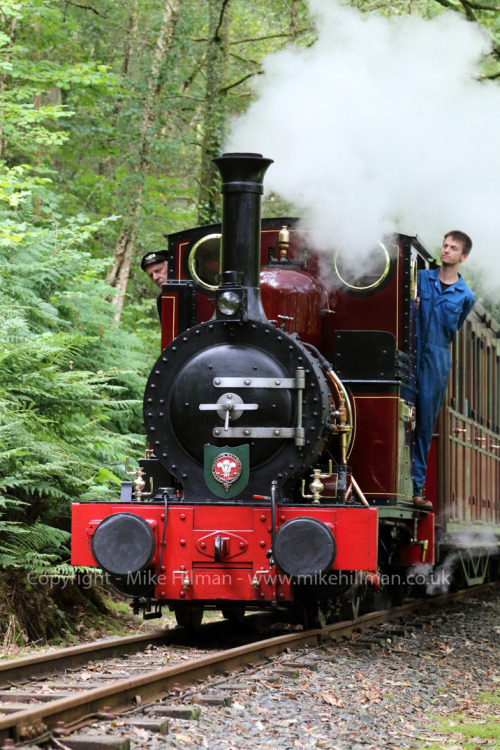 mikehillman1983:  ‘Dolgoch’ on the approach to Forrestry Crossing  