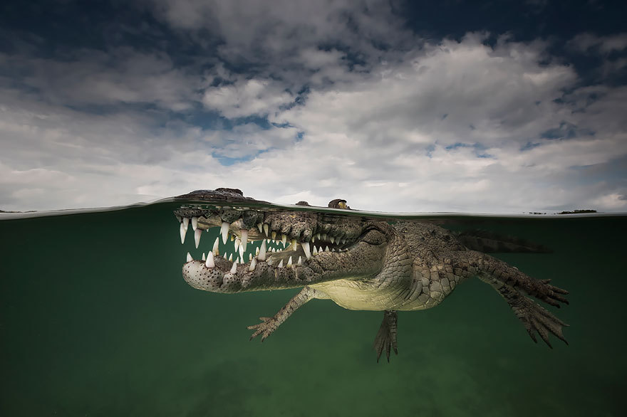 boredpanda:    20+ Breathtaking Photos Taken Between Two Worlds   