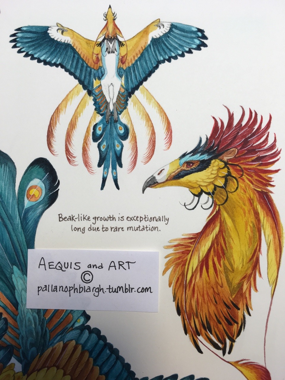 pallanophblargh:  Going to call the bee-eater Aequis custom tentatively done: I’m