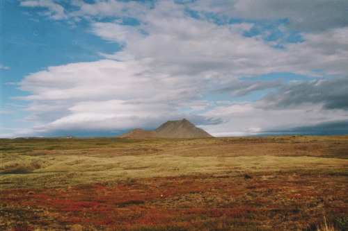 nevver:  The best place to be is somewhere else, Nicola Odemann 