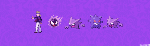 eileen-galvin:°˖✧ Johto Gym Leaders + Teams °˖✧