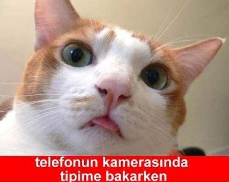 telefonun...