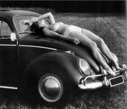 underview: boulez33:  honey-rider:  girliemagazine:  Bug  sometimes you’re the bug and sometimes you’re the windshield  Hood ornament. 