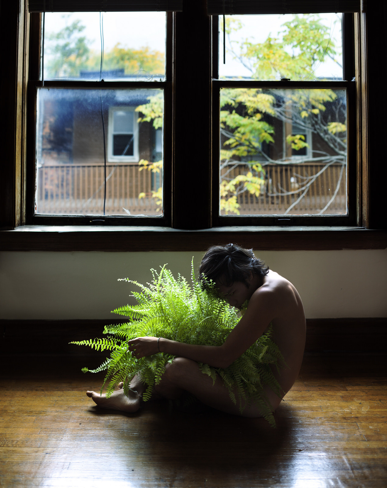 sean-clancy:  Houseplants, by Benedict ScheuerStarting a small series about my home,