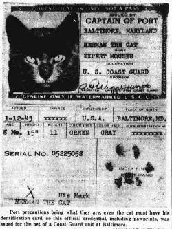 therustyskull: Coast Guard issued ID to one