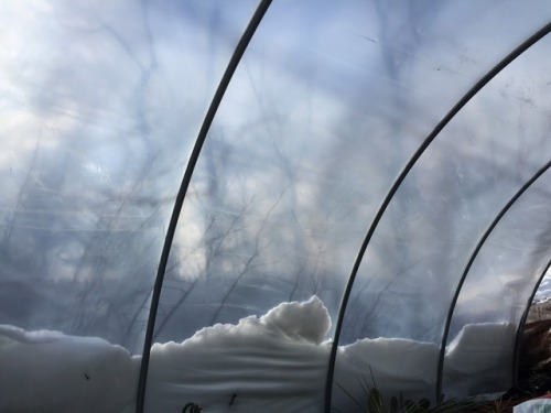 A snowy March day at the farm.. ❄https://www.bewellcommunity.org/