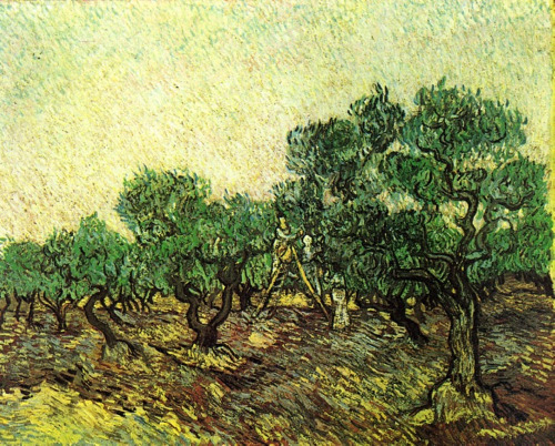 vincentvangogh-art:  Olive Picking, 1889 Vincent van Gogh 