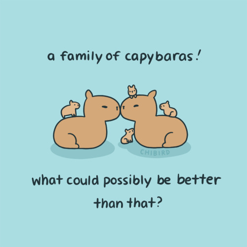 I Felt Like We Could All Use Some More Capybaras In Our Life.
