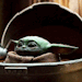 clonesdeservelovetoo:MYHEARTBELONGS TO YOUBABY YODA