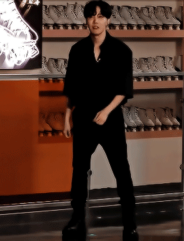 Hobi Shy
