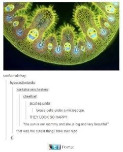 @Robdog1175  Happy Lil Grass Cells.  #Meme #Tumblr #Tumblrposts #Grass #Happy #Grass