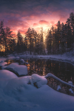 lsleofskye:  Genesis |  Ole Henrik Skjelstad