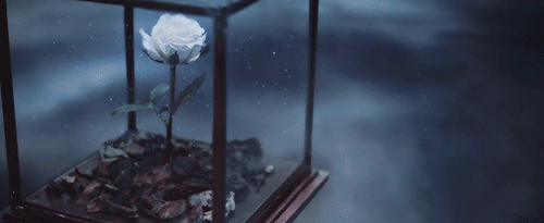 jinqki:BLUE - ONEW.