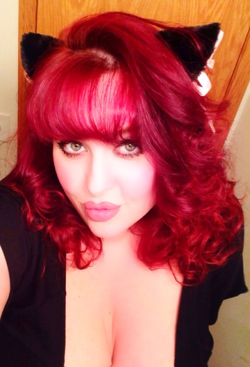 littlebunnysunshine:  Fun new kitten ears, better pictures to come!