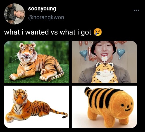 Stupid Tiger Obsession, Kwon Soonyoung.