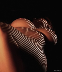 perfect-curves:  Forms in light and shadow.
