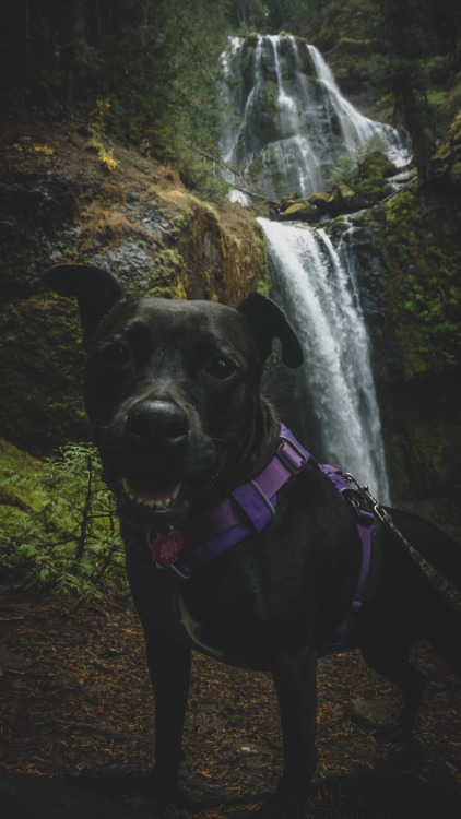 Marceline enjoys hikes, but she hates camping :b