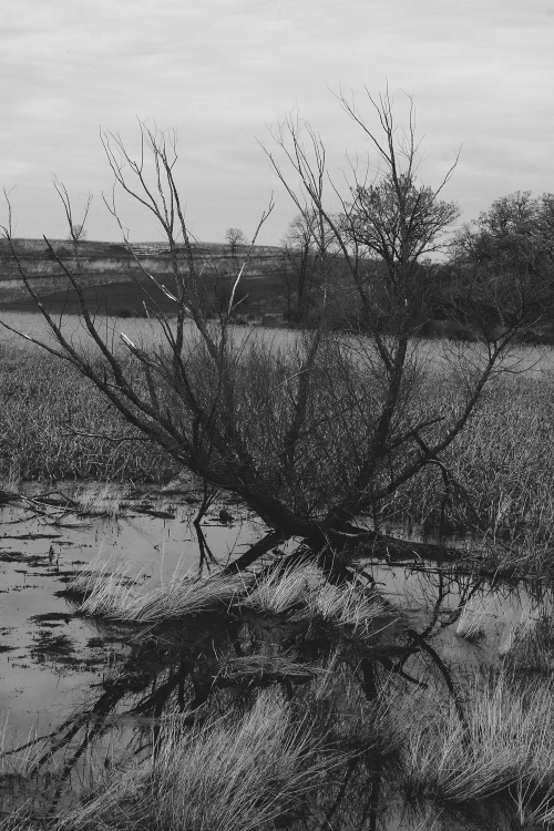 :  Sunken | GarettPhotography 