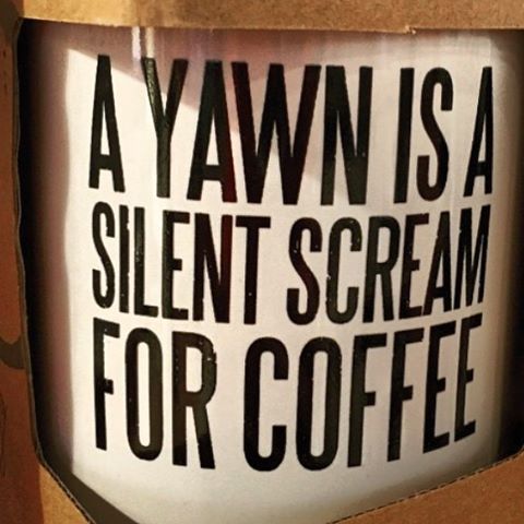 New favorite mug- just in time to honor #NationalCoffeeDay!!!  #KirstenExplainsItAll #Coffee #Yawn #