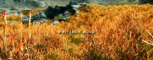 vaniccio:SKYRIM HOLDS: [4/9] Whiterun Hold