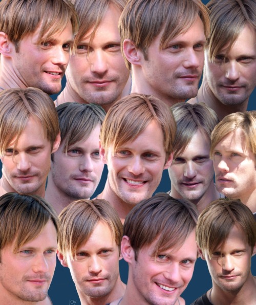 skarsjoy:
“ Baker’s dozen of Alexander Skarsgård heads. :)
”