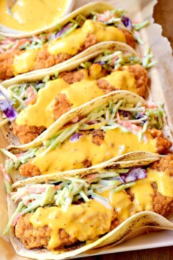 foodffs: HONEY MUSTARD CHICKEN TACOS Follow for recipes Is this how you roll? 