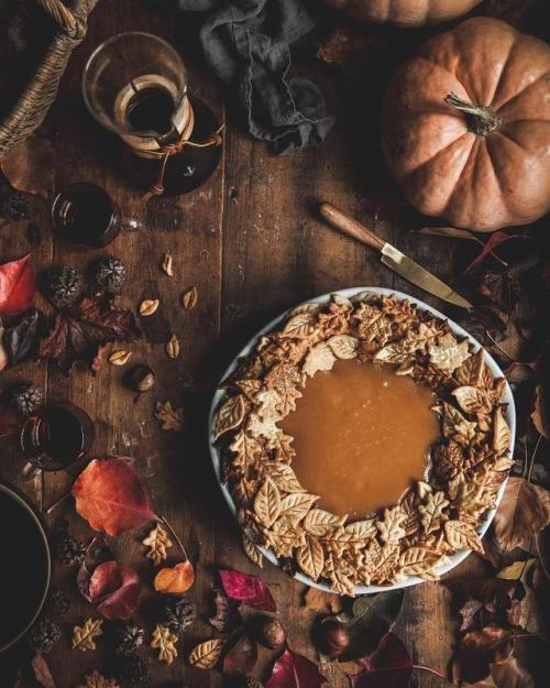 wishfullyautumn:pumpkinsandhotcocoa:~ Autumn Wonderland ~  Endless Autumn Coziness