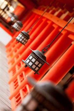 vnformed:  Itsukushima Shrine lanterns :