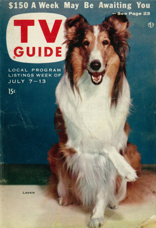 Lassie, the famous Collie on the cover of TV Guide, 1956. Via flickr