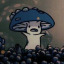 no-blueberries