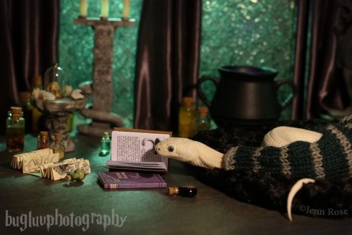 jennrosefx - “Or perhaps in Slytherin,You’ll make your real...