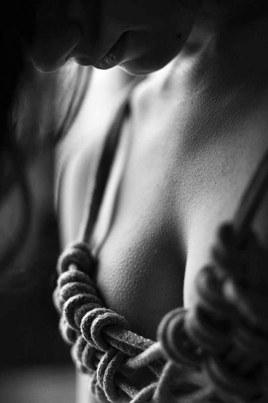 Of all that he owned, only She had his heart.