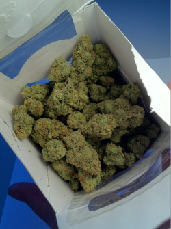 medicinalonly:  56 G’s  Strain: Willy’s