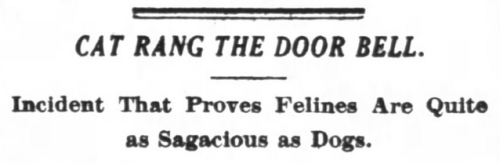 yesterdaysprint:The Washington Post, Washington DC, April 26, 1916