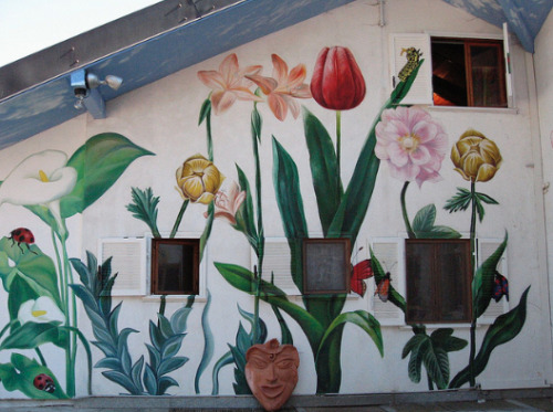 spiritofthesunserpent:  Murals painted on buildings of the Spiritual Eco-Community in Damanhur, Italy (Please do not remove source or text)  