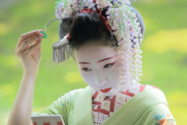geisha-kai:   May 2016: maiko Mamesumi with wisteria kanzashi by ji-jiuma on Ganref