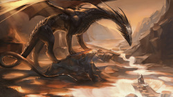 dailydragons:  The Black Dragon by Sakimichan